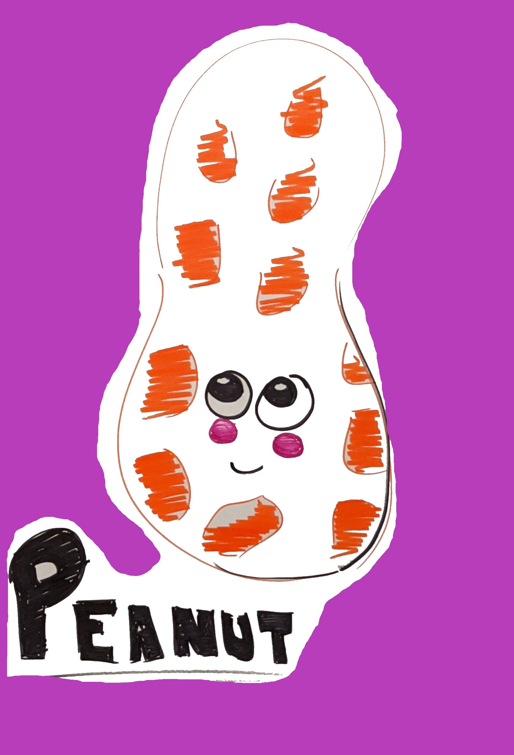 peanut.jpg